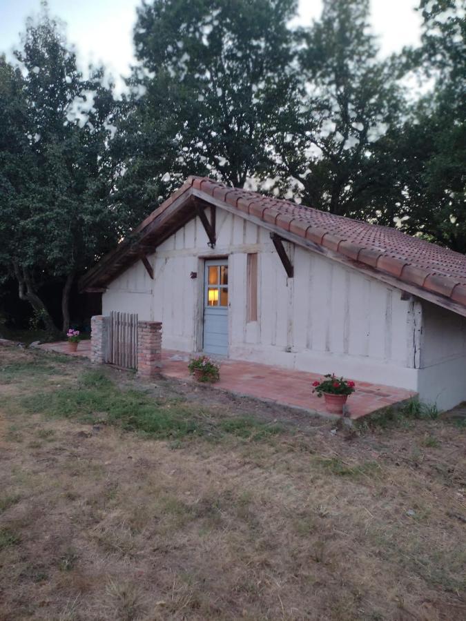 Maisonnette vue sur forêt Campagne  Extérieur photo